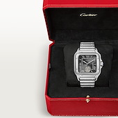 Cartier WSSA0076