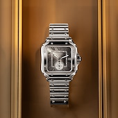 Cartier WSSA0076