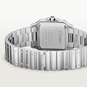 Cartier WSSA0082