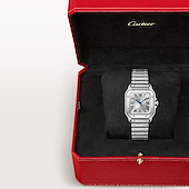 Cartier WSSA0082