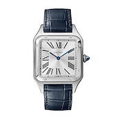 Cartier WSSA0085