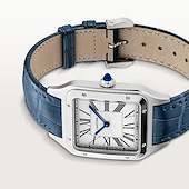 Cartier WSSA0085