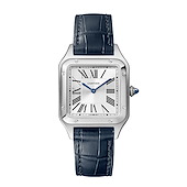 Cartier WSSA0086