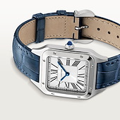 Cartier WSSA0086