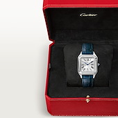 Cartier WSSA0086