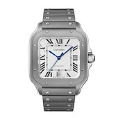 Cartier WSSA0089