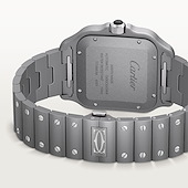 Cartier WSSA0089