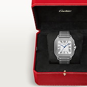Cartier WSSA0089