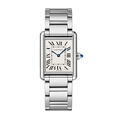 Cartier WSTA0106