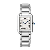 Cartier WSTA0107
