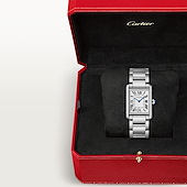 Cartier WSTA0122