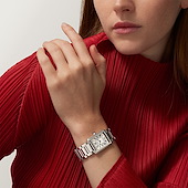 Cartier WSTA0122