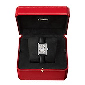 Cartier WSTA0135