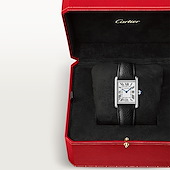 Cartier WSTA0138