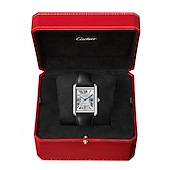 Cartier WSTA0141