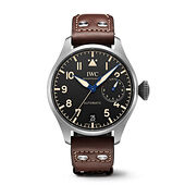 IWC IW501004