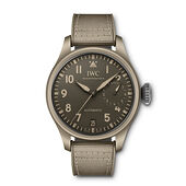 IWC IW506003