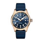 IWC IW328301