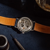 IWC IW344601