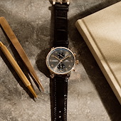 IWC IW371610