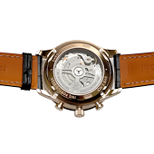 IWC IW371610