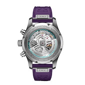 IWC IW388121