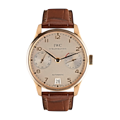 IWC IW500101