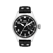 IWC IW500401