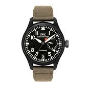 IWC IW501901