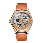 IWC IW503701
