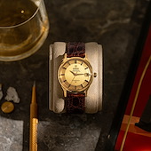 Omega 168.005/6