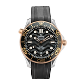 Omega 210.22.42.20.01.002