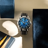 Omega 220.12.41.21.03.008