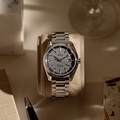 Omega 231.10.39.61.06.001