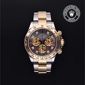 Rolex M116503