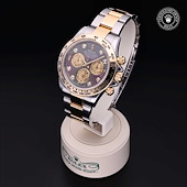 Rolex M116503