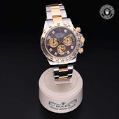 Rolex M116503