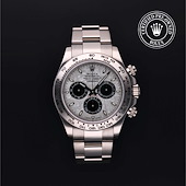 Rolex M116509