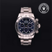 Rolex M116509