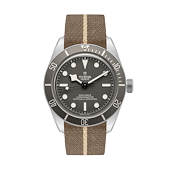 Tudor M79010SG