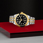 Tudor M79663-0001