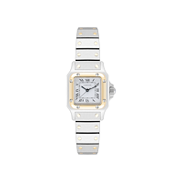 Cartier W20012C4