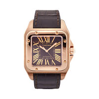 Cartier W20127Y1