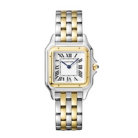 Cartier W2PN0019