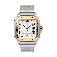 Cartier W2SA0009