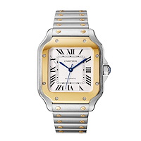 Cartier W2SA0016