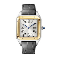 Cartier W2SA0034
