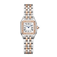 Cartier W3PN0014