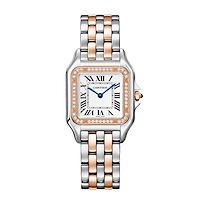 Cartier W3PN0015