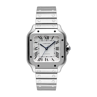 Cartier WSSA0029